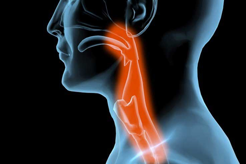 Evaluation and Management of Swallowing Disorders