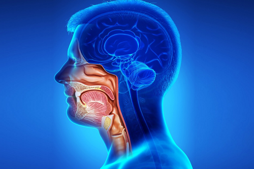 Throat and Head & Neck Cancer Surgery