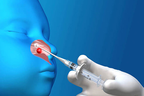 Foreign Body in Nose or Ear Removal