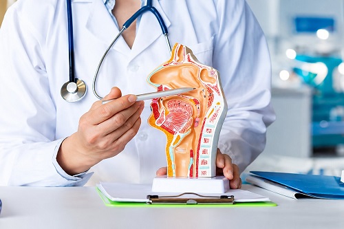 Best ENT Treatment in Betul by Dr. Prakhar Kumar